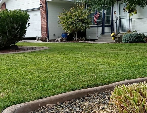 Chasity Snyder providing lawn mowing and yard care services in Twin Falls ID